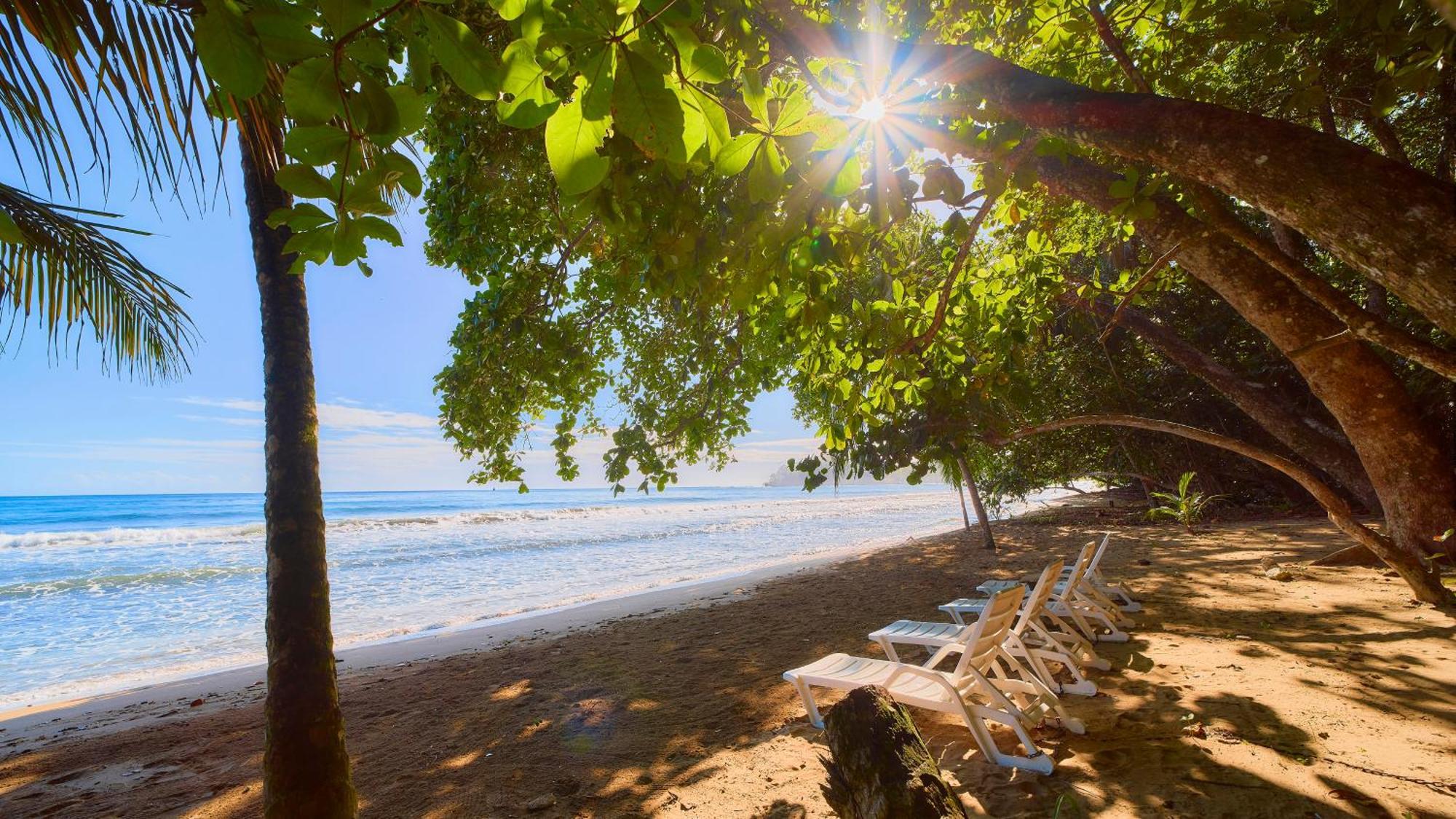 Dragonfly Beachfront Villas-Adult Only Punta Uva Exterior photo